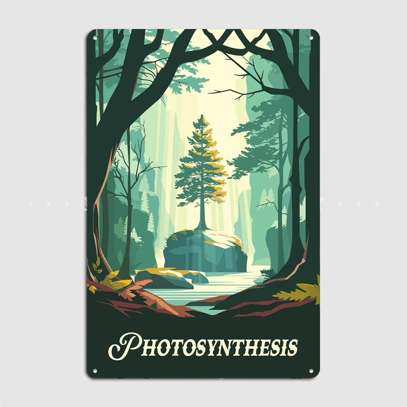 Fotosynthese bordspel geïnspir - Board Game Inspiration recensie en prijs